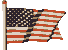 U.S.A  Flag