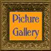 Picture Gallery.