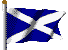 Scotland Flag. St. Andrew Cross.